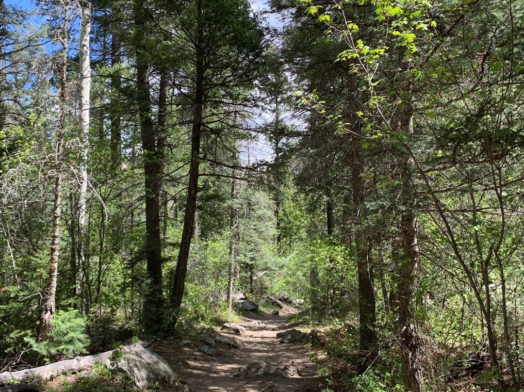 Columbine Trail-红河必去景点