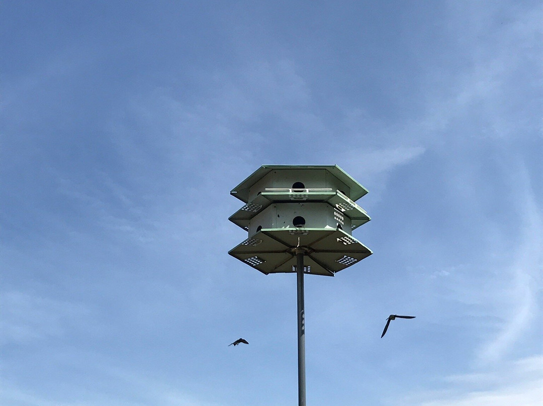 海滨希尔顿惠庭套房酒店主图