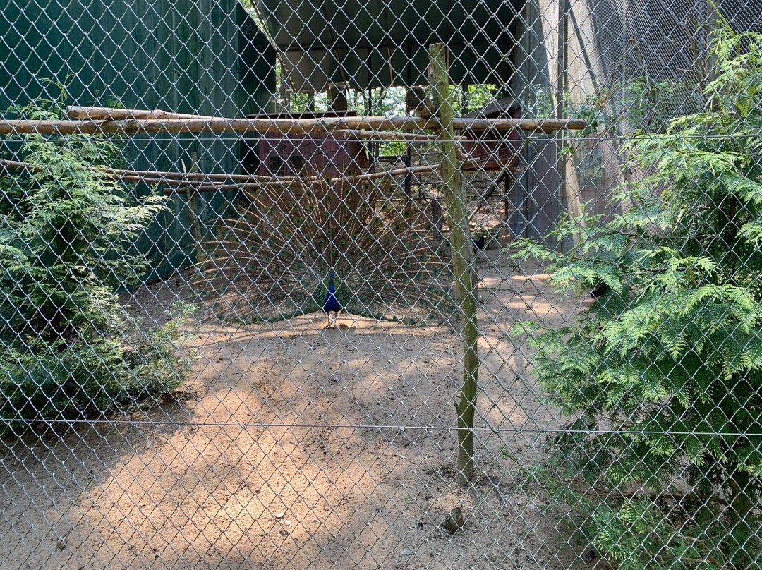 Zoo Charlotta景点图片