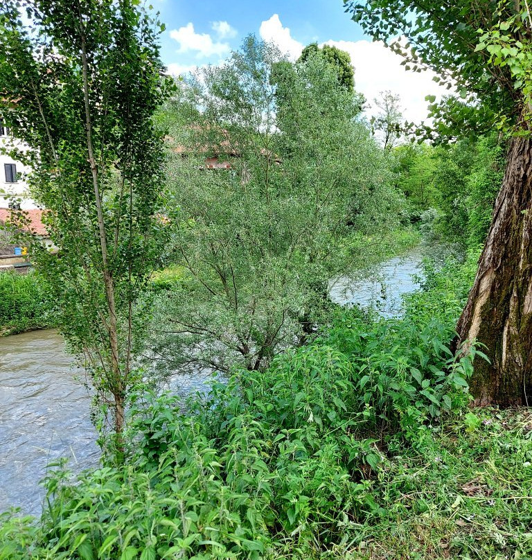 Parco Regionale Della Valle Del Lambro-Triuggio必去景点