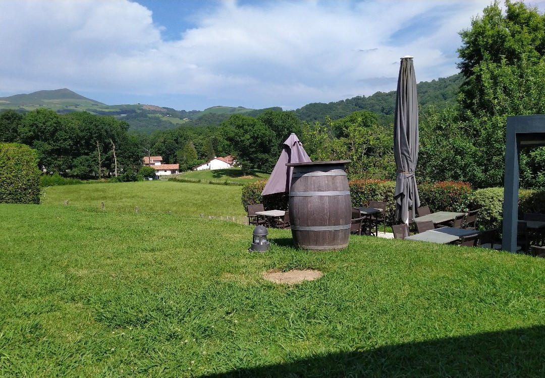 Logis Hotel Du Chene主图