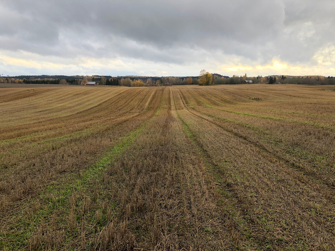 Aurinko Ilves Trail-Asikkala必去景点