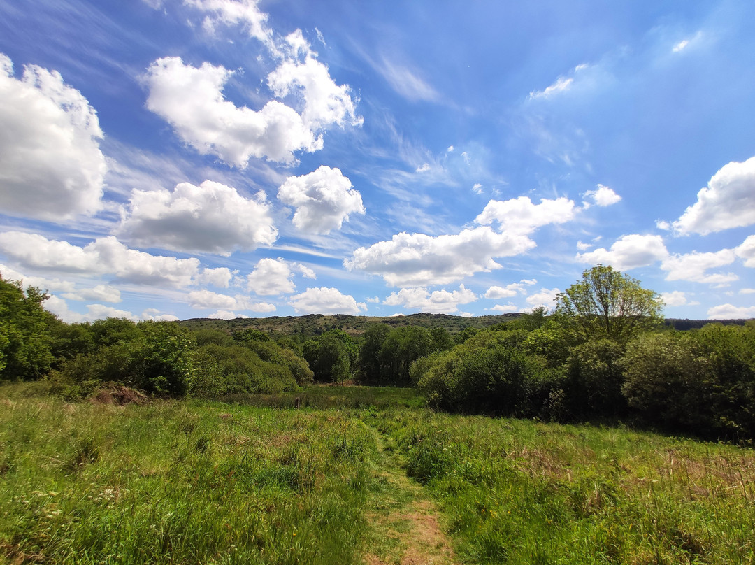 Accueil Touristique du Pays de Landivisiau-Guimiliau必去景点