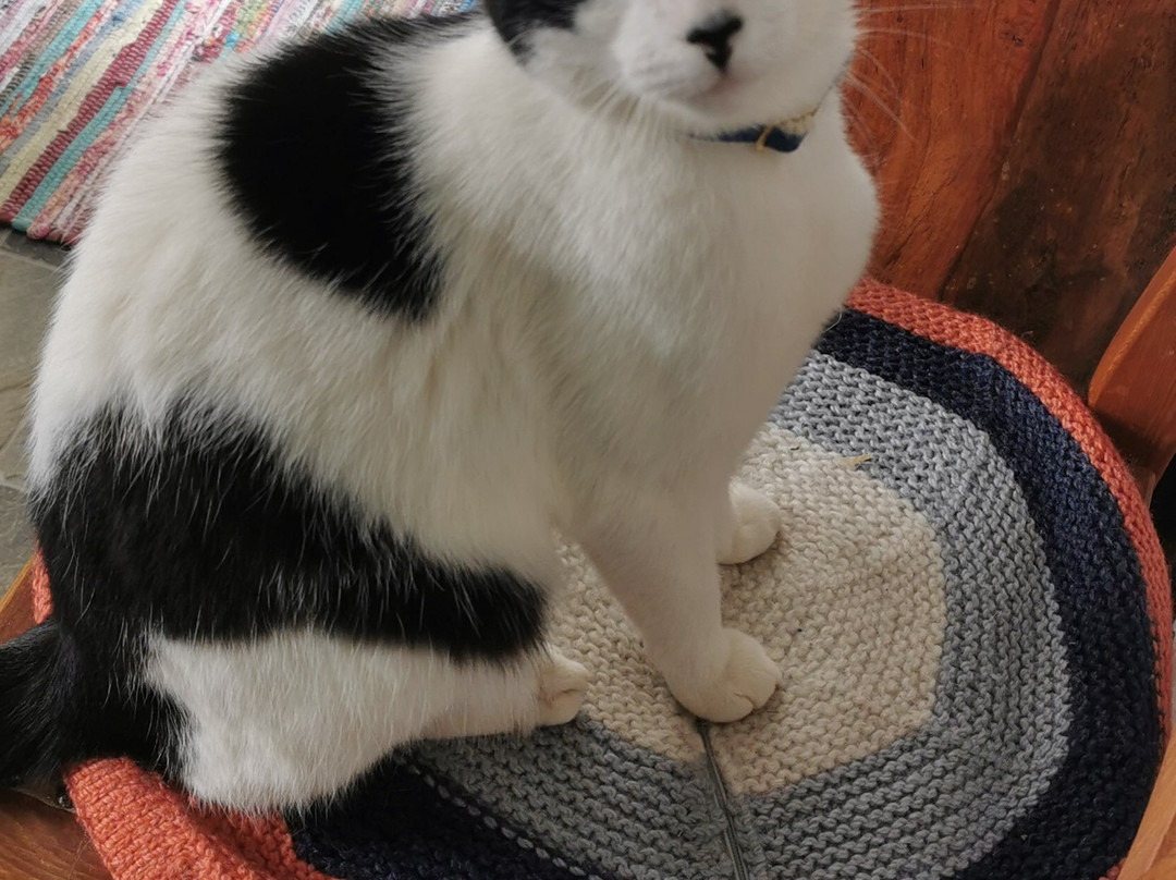 朱利亚宾馆主图