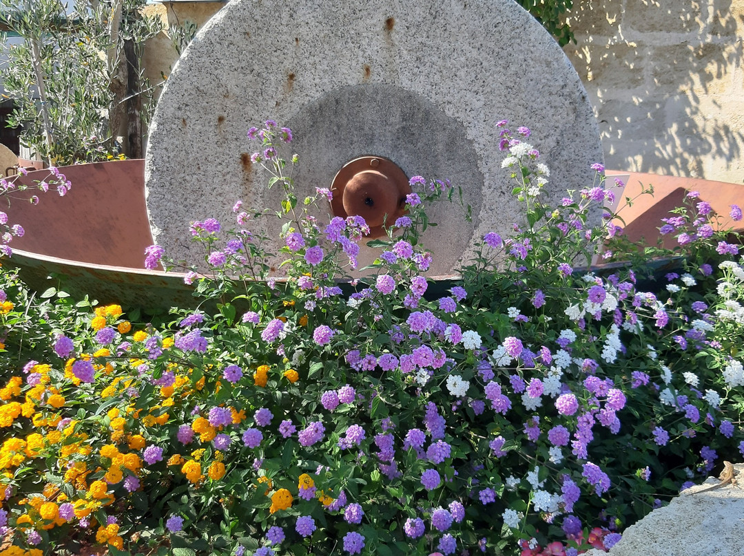 Ruggiano旅游攻略图片