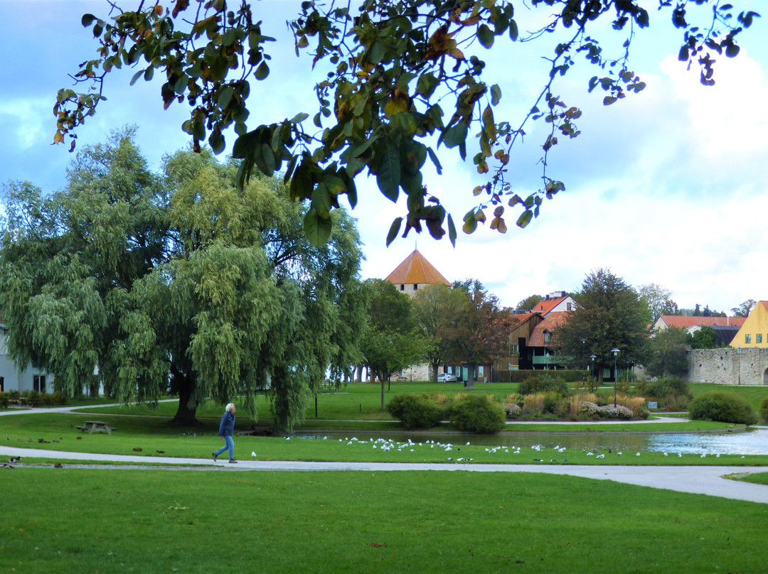 Almedalen Park景点图片