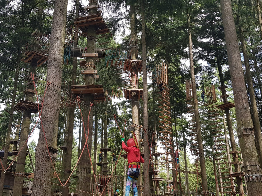 Adventureforest景点图片