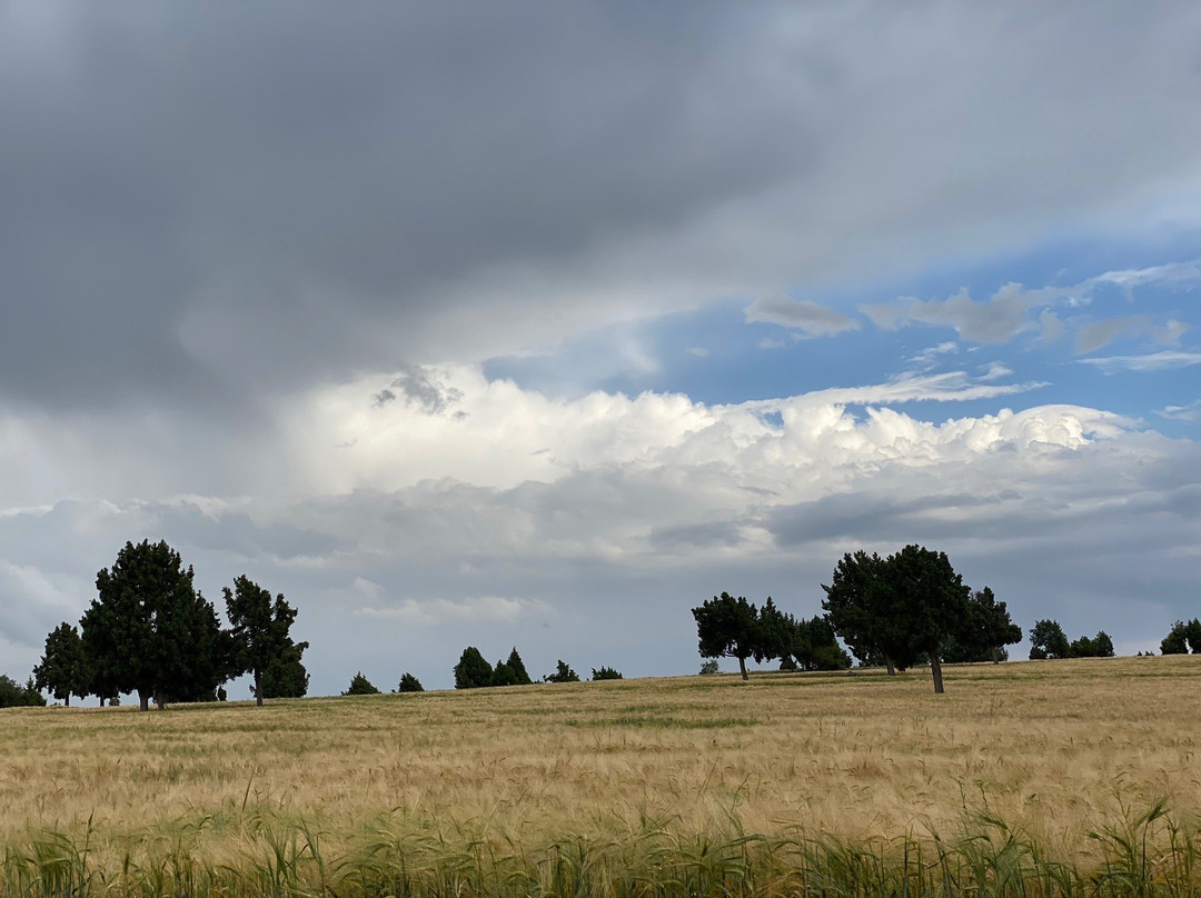 Cafer-i Sadık Rahim Baba Turbesi-Nallihan必去景点
