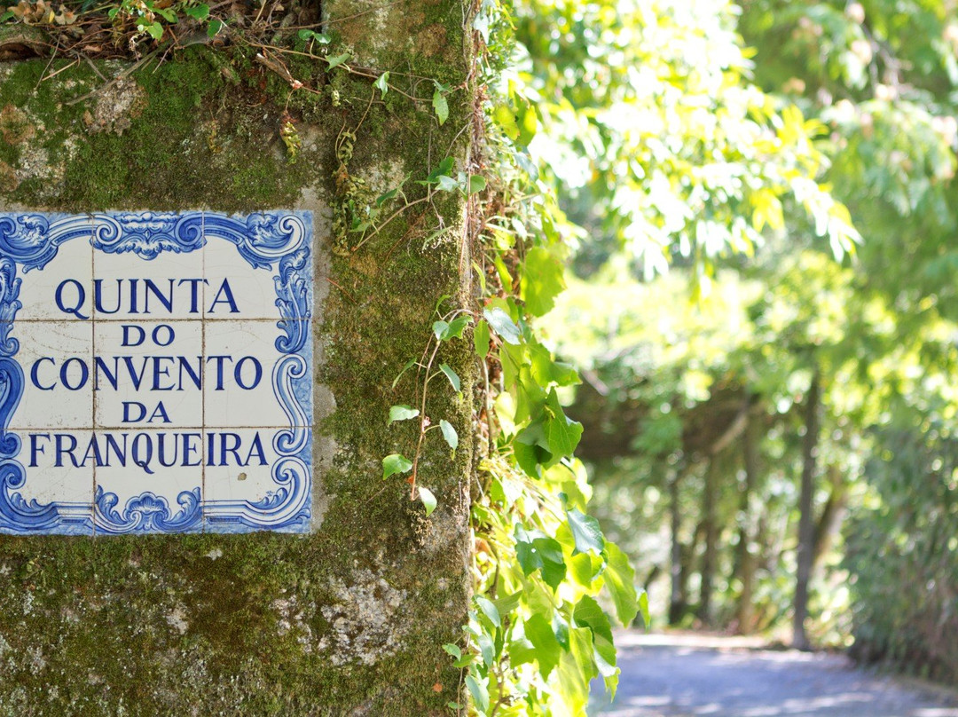 Quinta Do Convento Da Franqueira主图