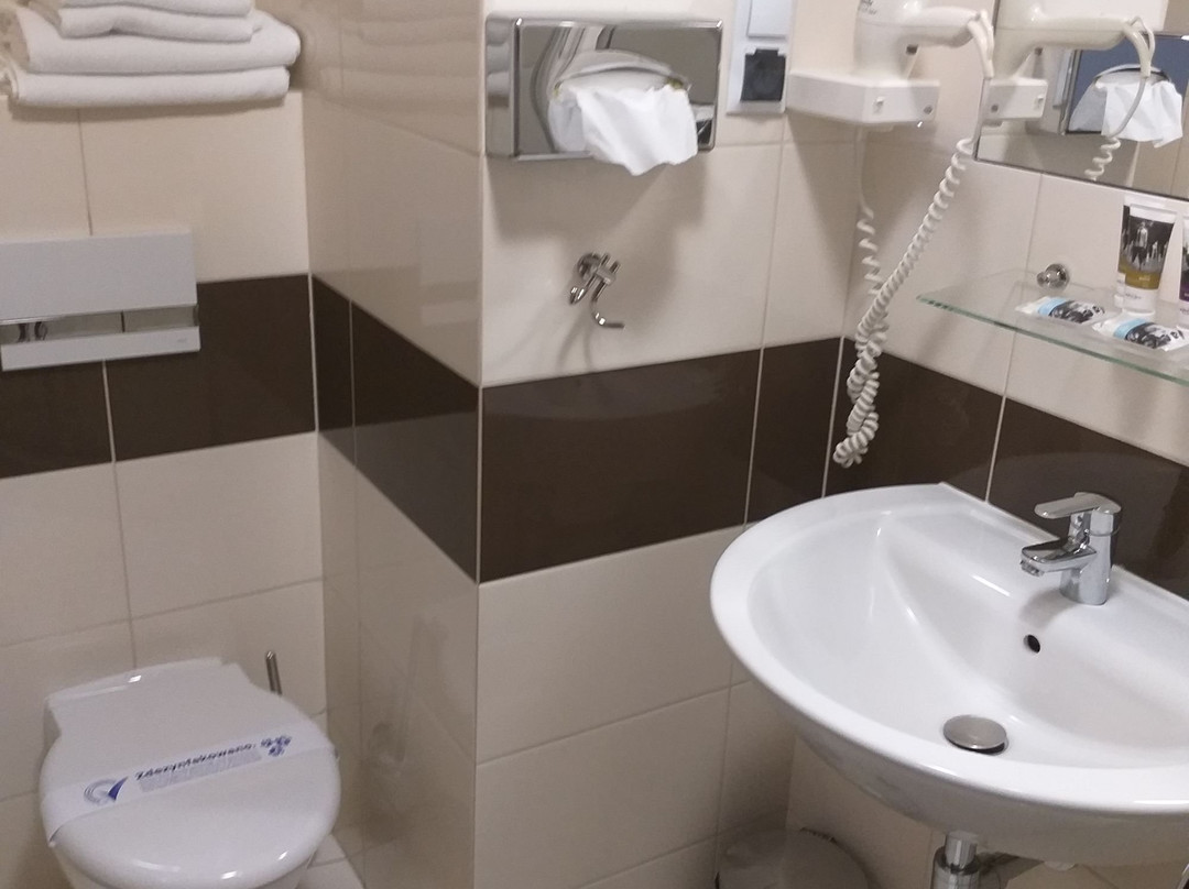 Vestil Hotel Piotrków Trybunalski主图