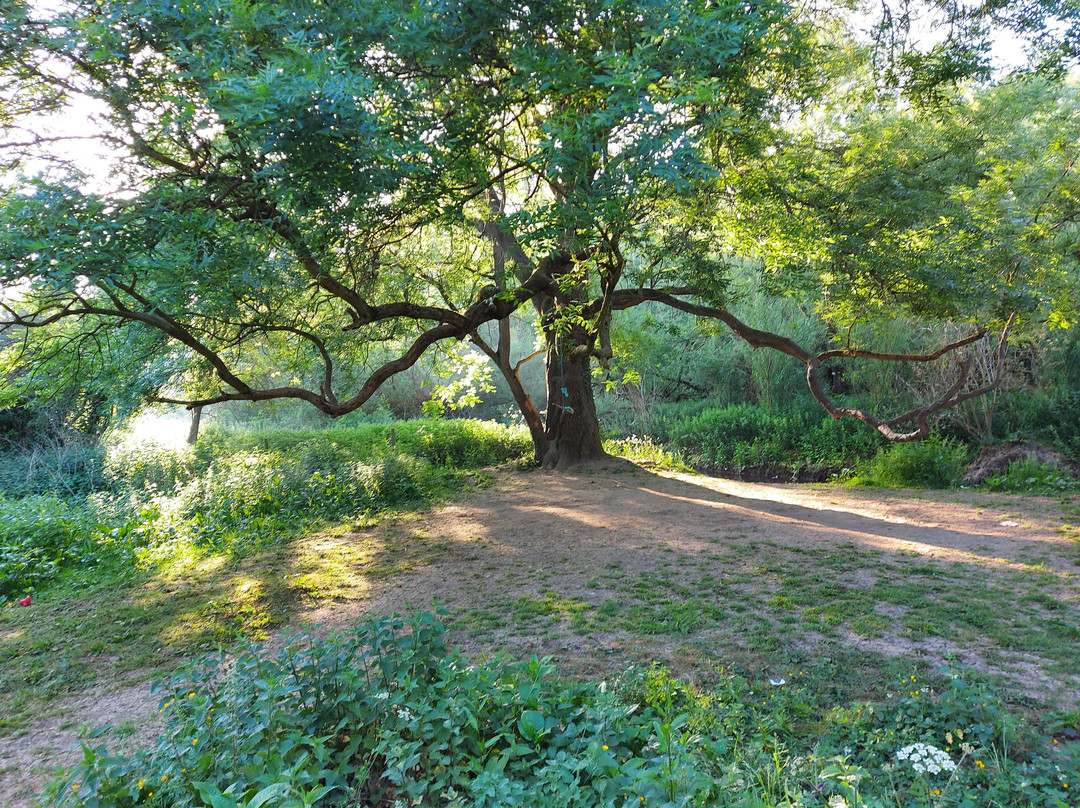 Brockadale Nature Reserve景点图片