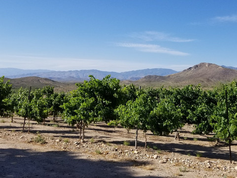 Charron Vineyards & Winery-Vail必去景点