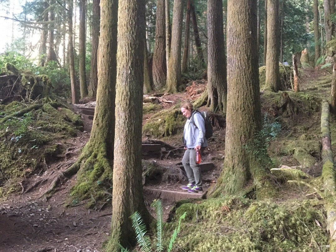 Skookumchuck Narrows Provincial Park-Egmont必去景点