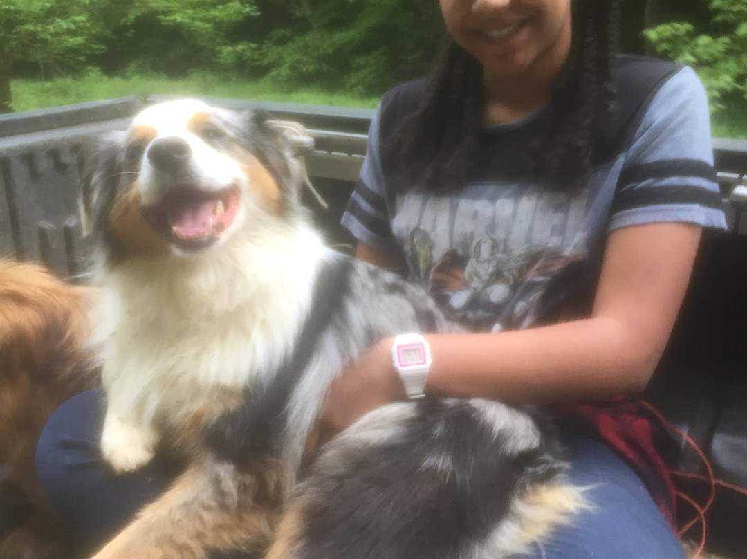 Twin Valley Bed and Breakfast and Horse Ranch主图