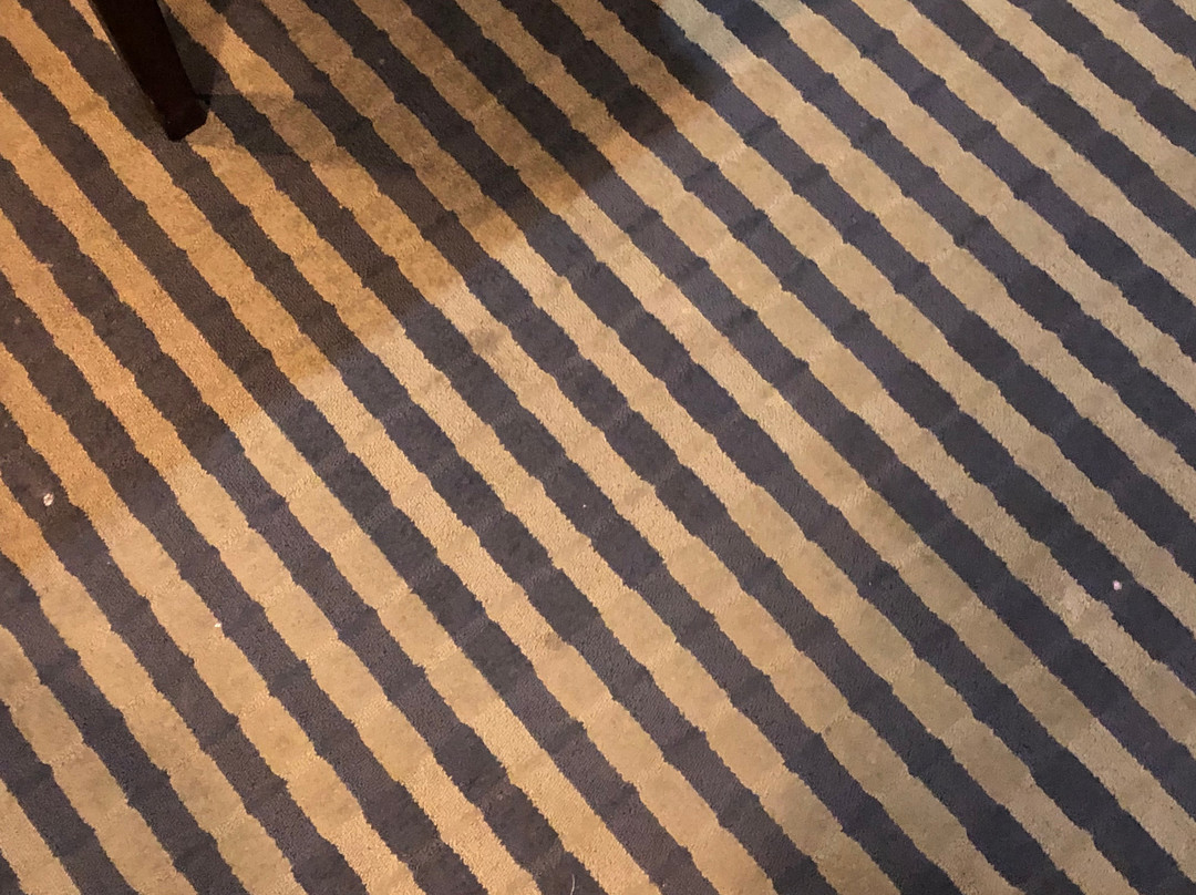 Super 8 by Wyndham Carthage TX主图