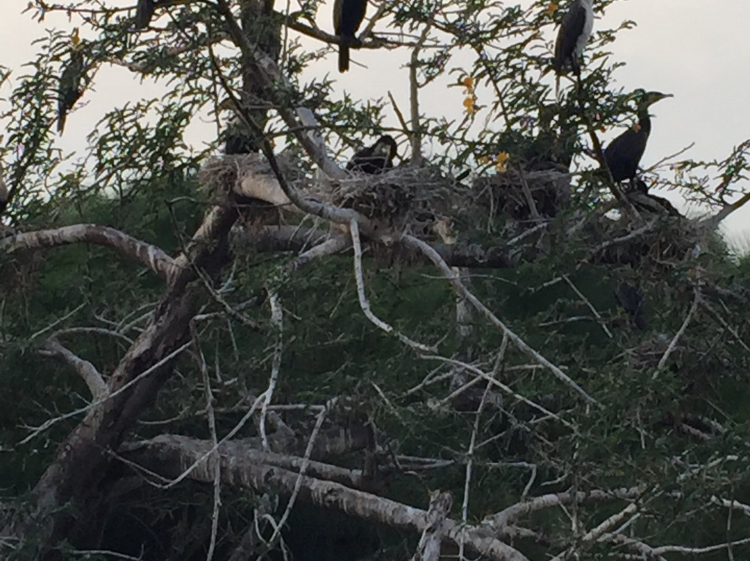 Akagera National Park-Eastern Province必去景点