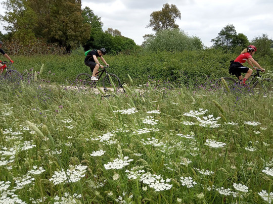 Turismo de Los Barrios-Los Barrios必去景点
