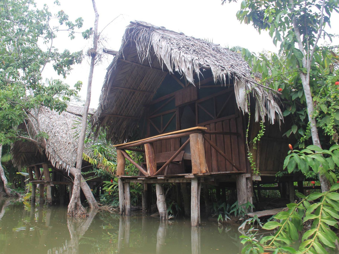 Orinoco Delta景点图片