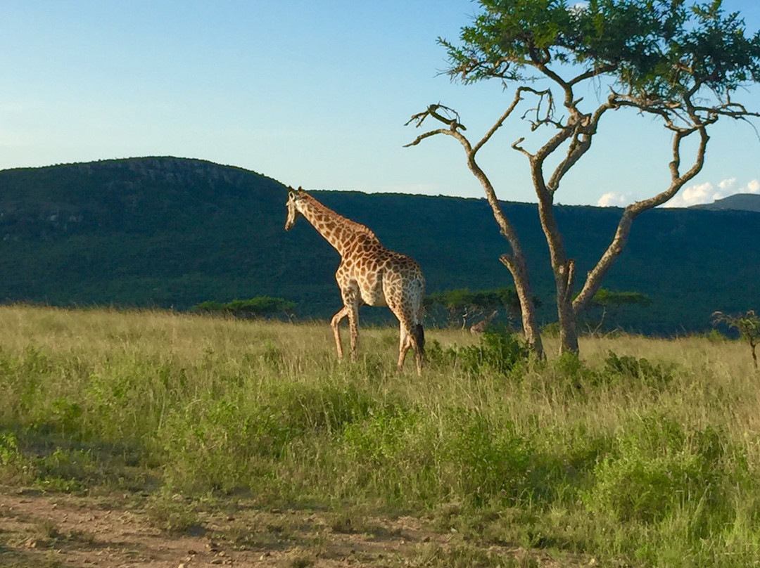 Battlescenes Battlefield Tour-丹地必去景点