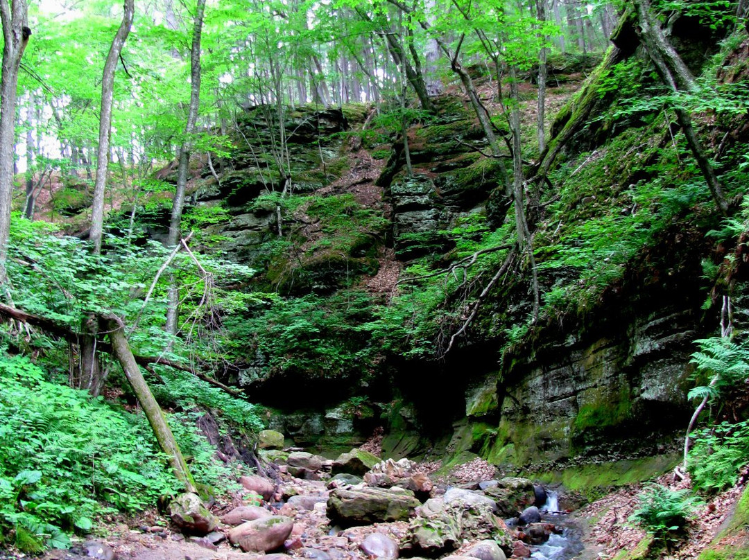 Parfrey's Glen-巴拉布必去景点