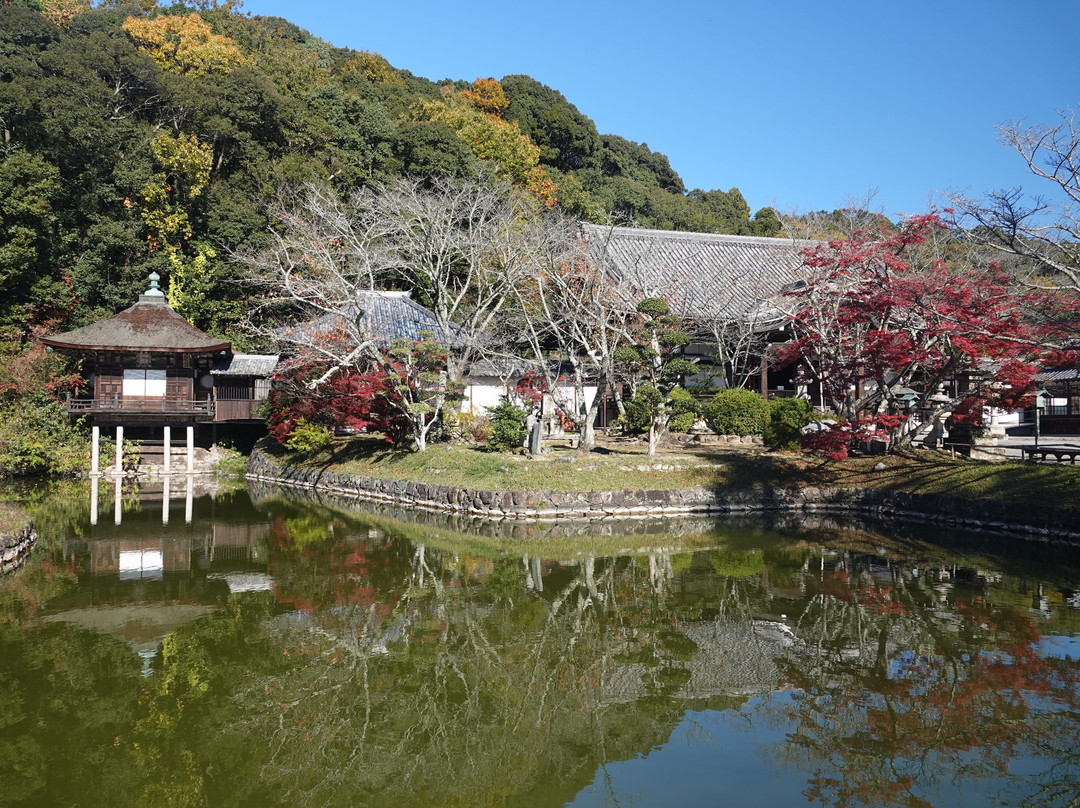 Negoro-ji Temple-岩出市必去景点