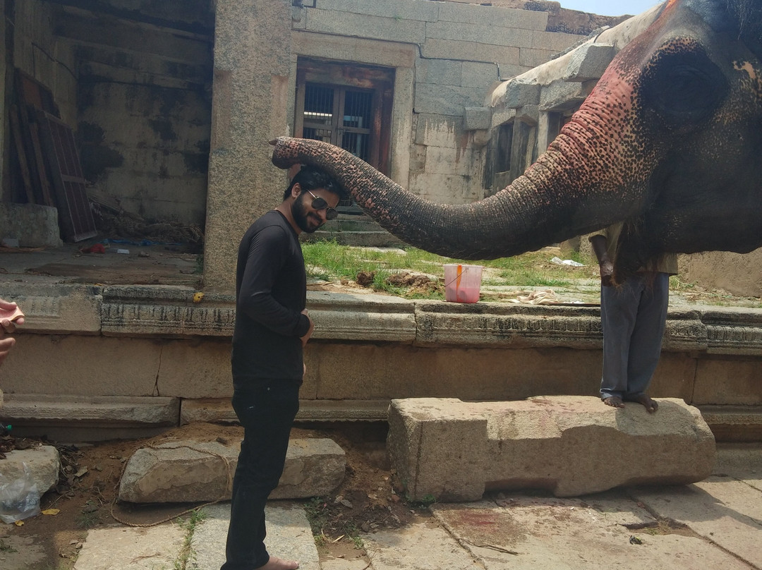 Lakshmi the Elephant景点图片