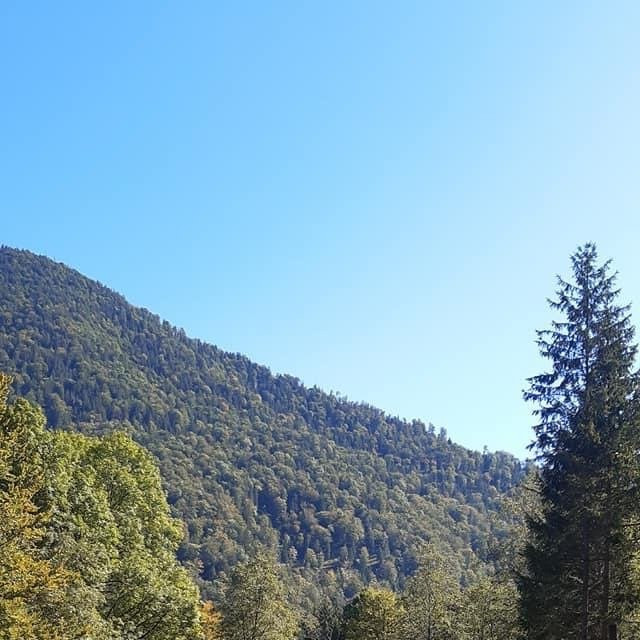 National Park Hohe Tauern景点图片