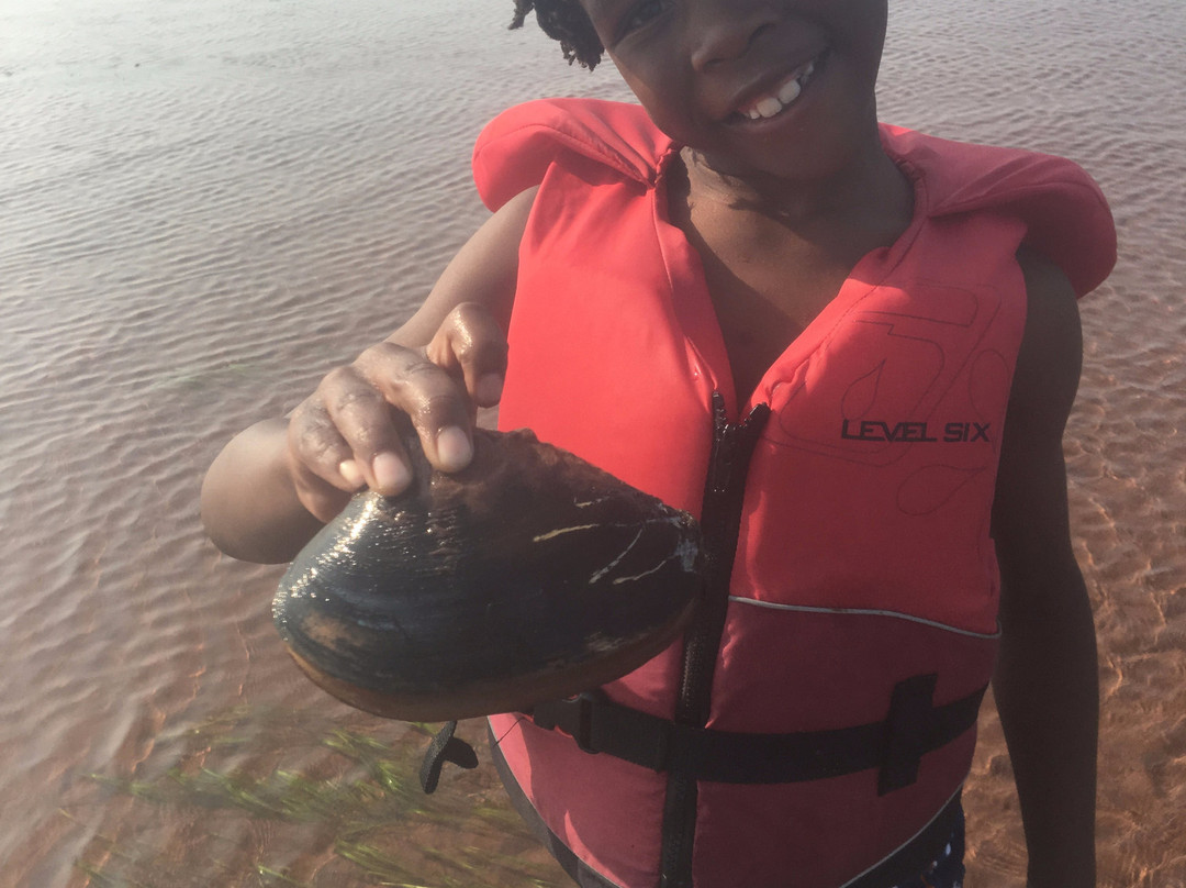 By The Sea Kayaking-Victoria必去景点