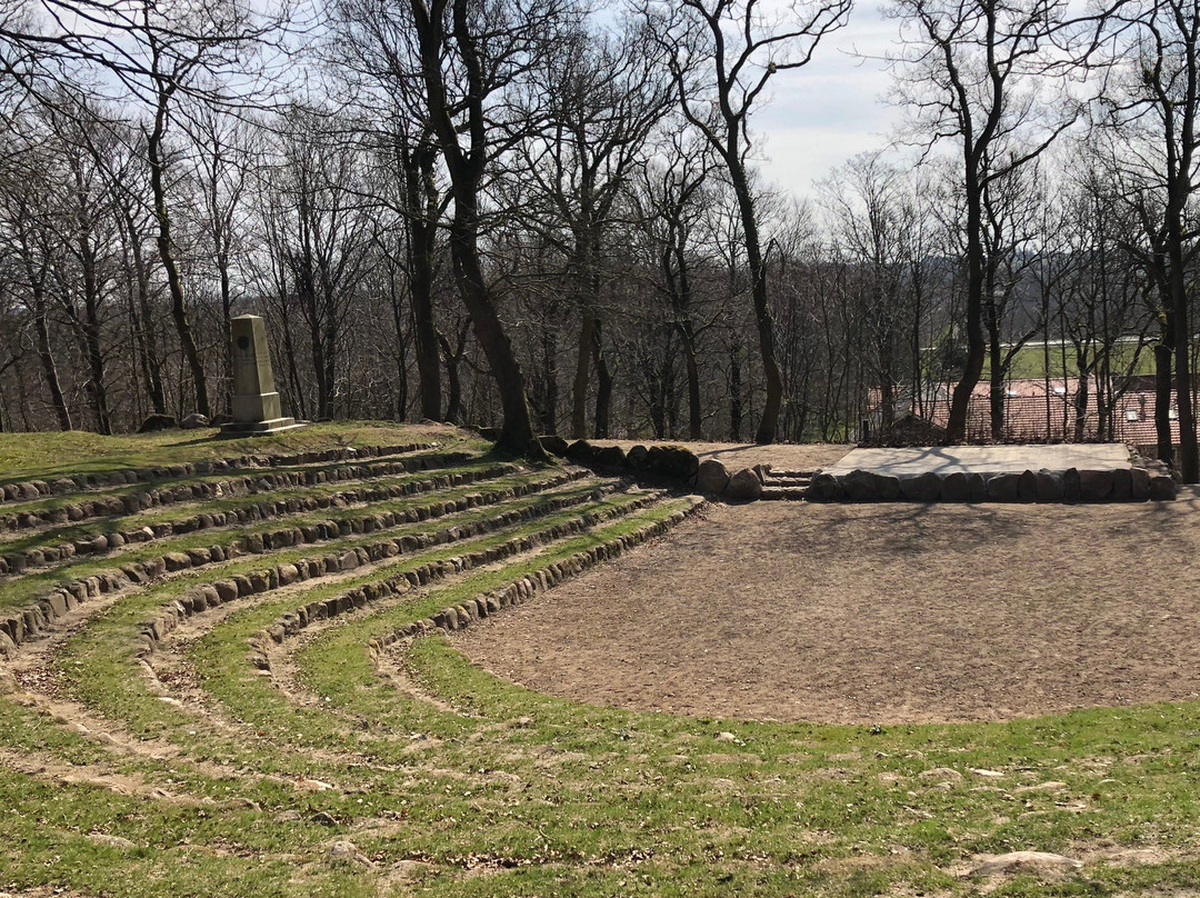 Monumentparken i Skibelund Krat景点图片