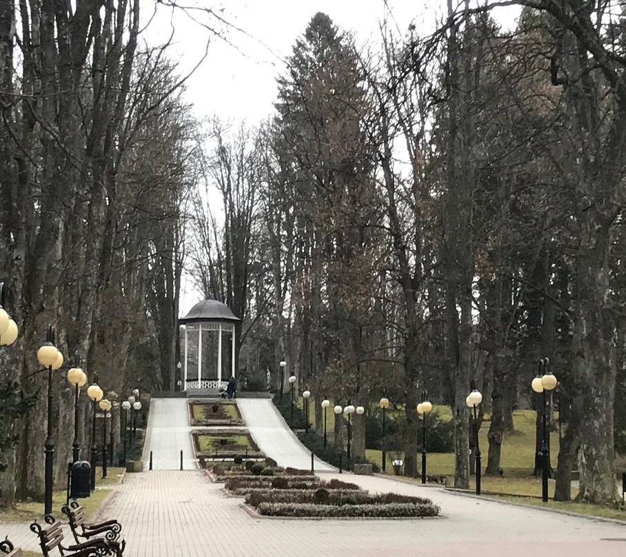 Park Zdrojowy景点图片