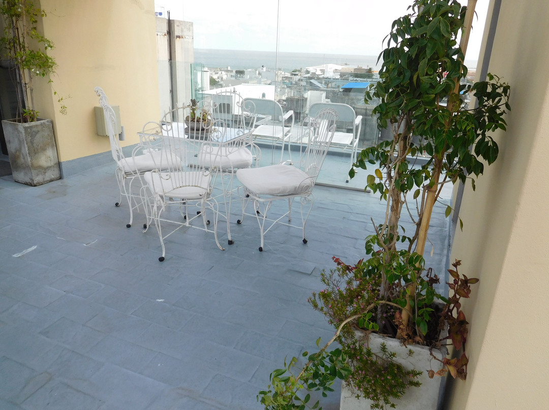 Alma Historica Boutique Hotel主图