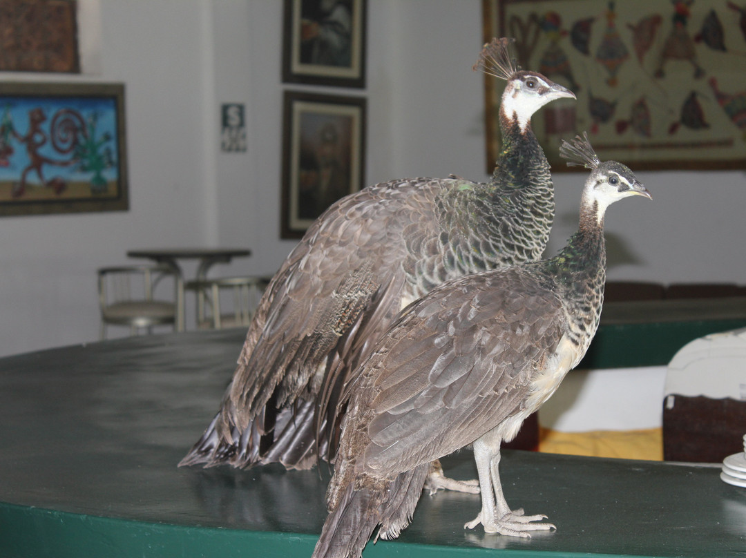 Hacienda Majoro 精品渡假村主图