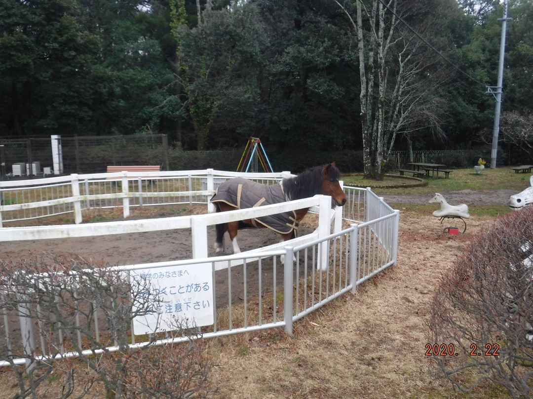 Japan Racing Association Racehourses Research Institute Tokiwa Branch-盘城市必去景点