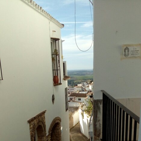 La Vista de Medina-portrait