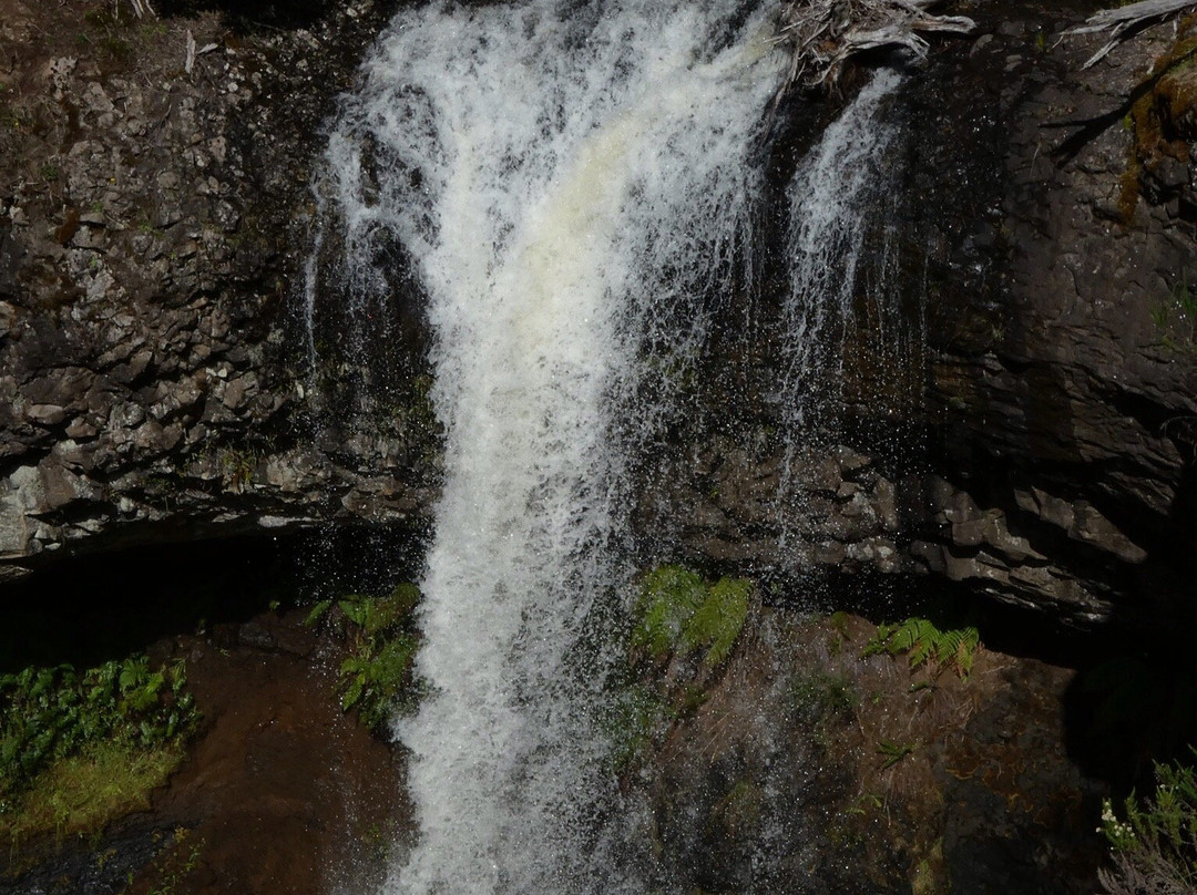 Tarraleah Falls景点图片