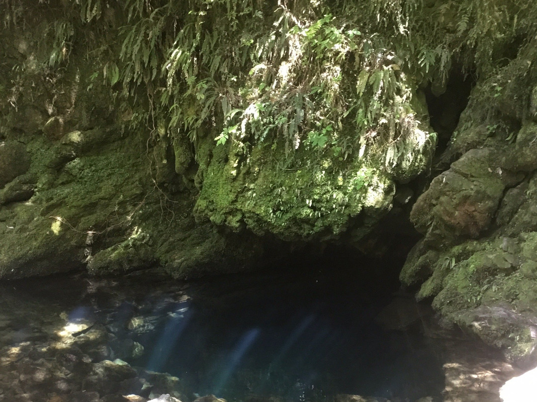Riwaka Resurgence景点图片