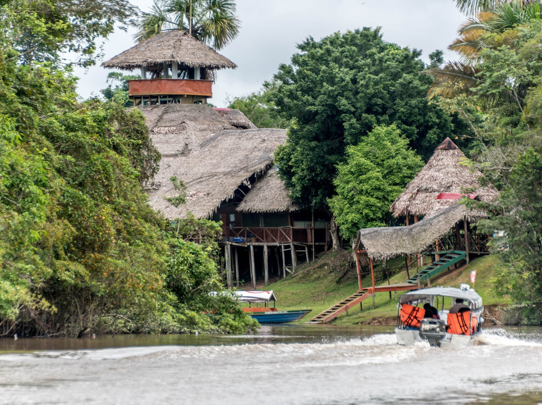 Amazon Rainforest Lodge主图