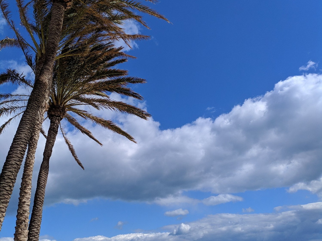 Plaça de la Reina-巴伦西亚必去景点