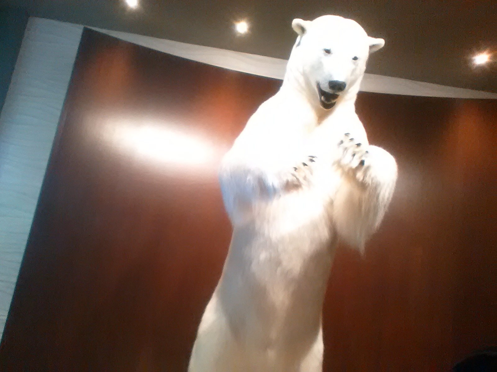 探索者酒店-浴室