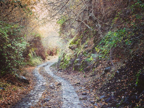 Ruta Dehesa de Camarate