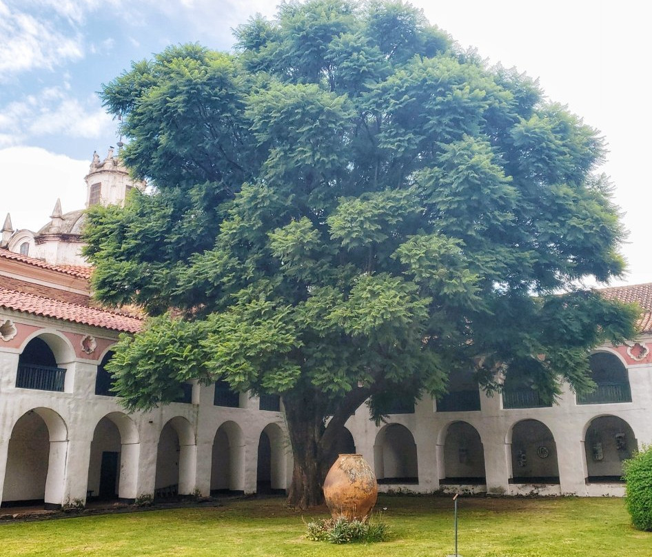 Estancia Jesuítica de Jesus Maria - Museo Jesuitico Nacional-Jesus Maria必去景点