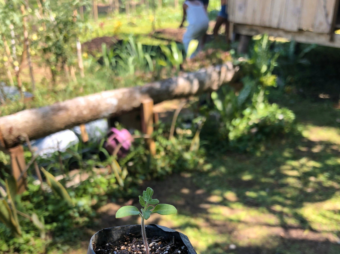 Bayatakan Farm Experience景点图片