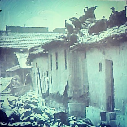 The Partition Museum景点图片