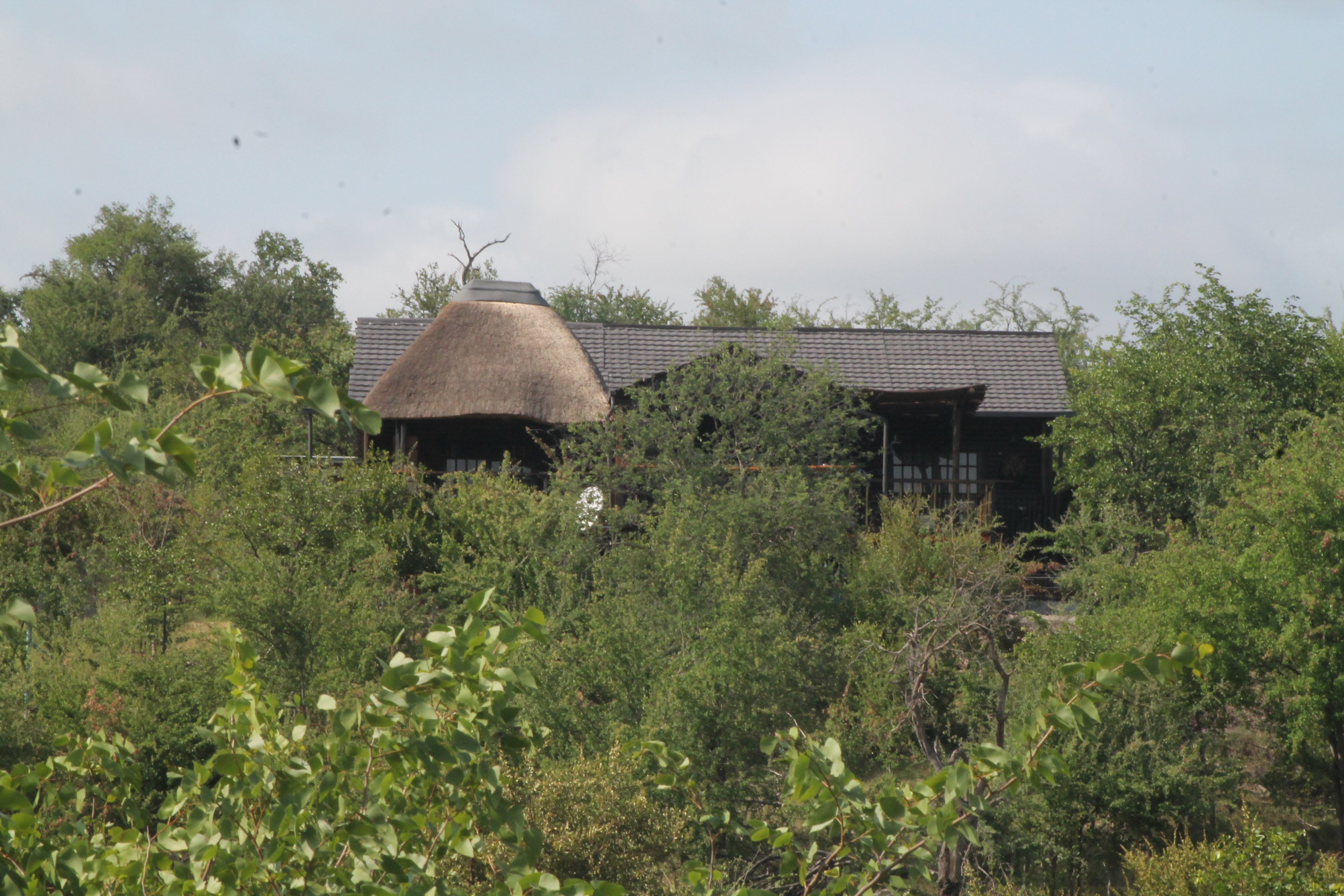 Leopard Rock Bush Lodge-官方