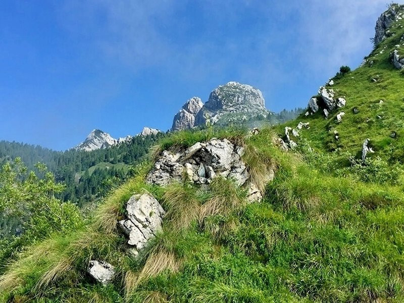 Sentiero Natura della Val Falcina景点图片