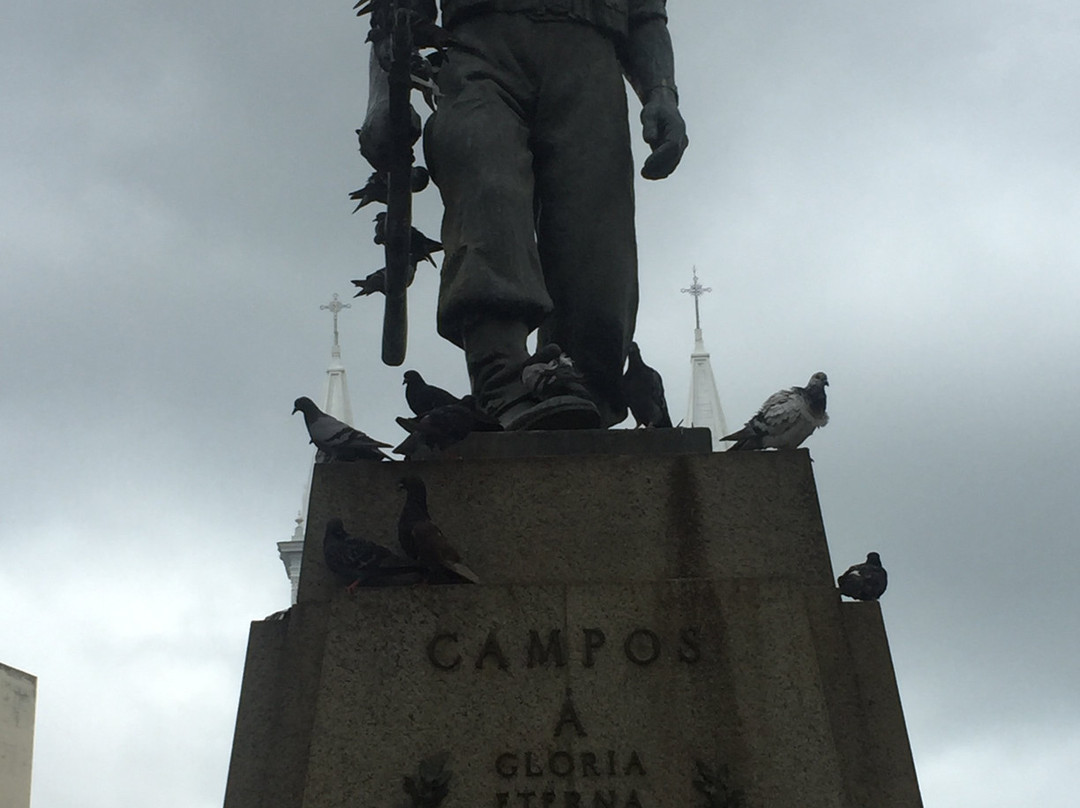 Monumento ao Expedicionario-Campos dos Goytacazes必去景点