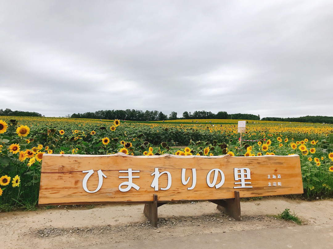 Himawari no Sato-北龙町必去景点