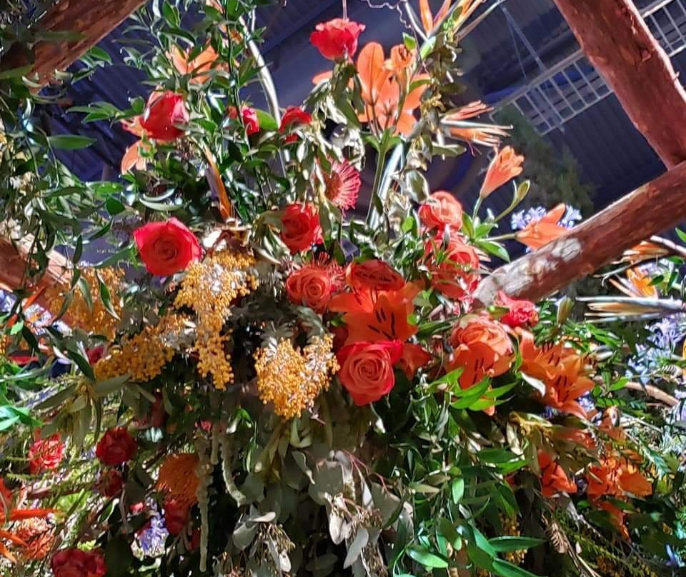 PHS Pop Up Garden South Street-费城必去景点