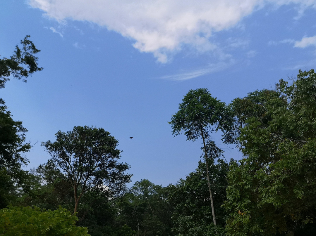 Taman Botani Perak景点图片