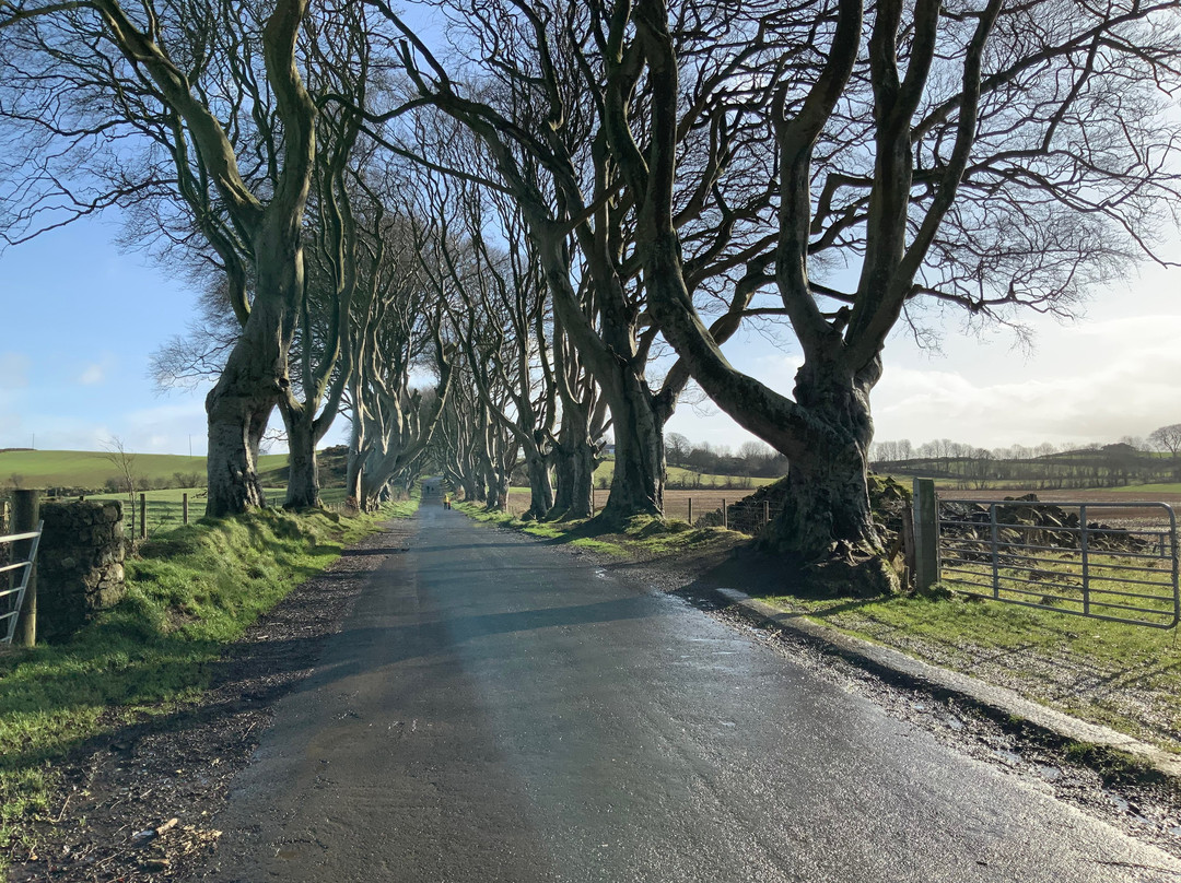 Setanta Chauffeur Tours-Longford必去景点